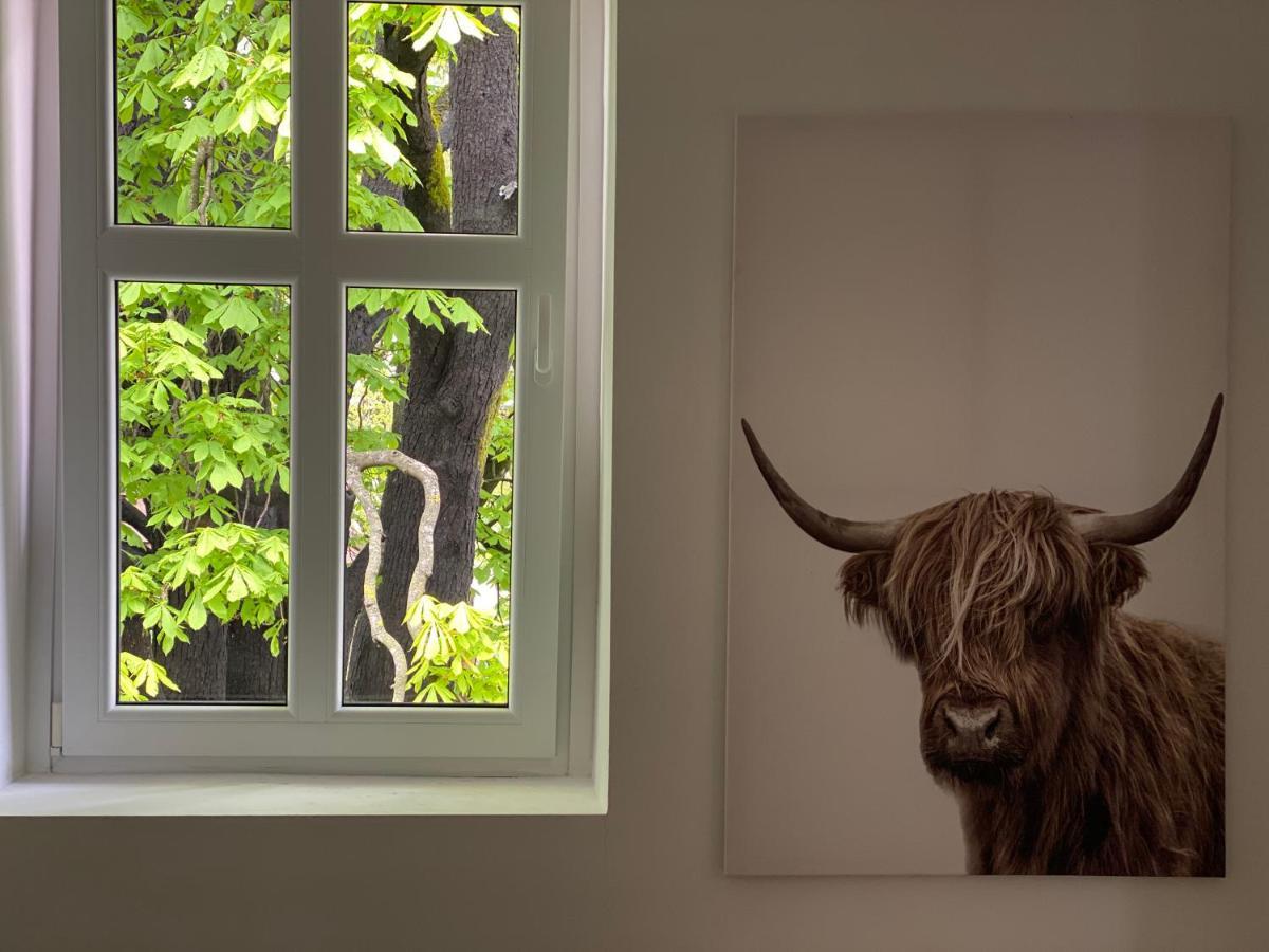 Green Corner Of Bovec - Apartment Bovec Buitenkant foto